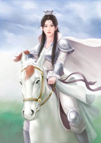 穿越之奈何成賊